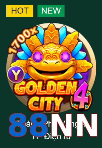 88NN